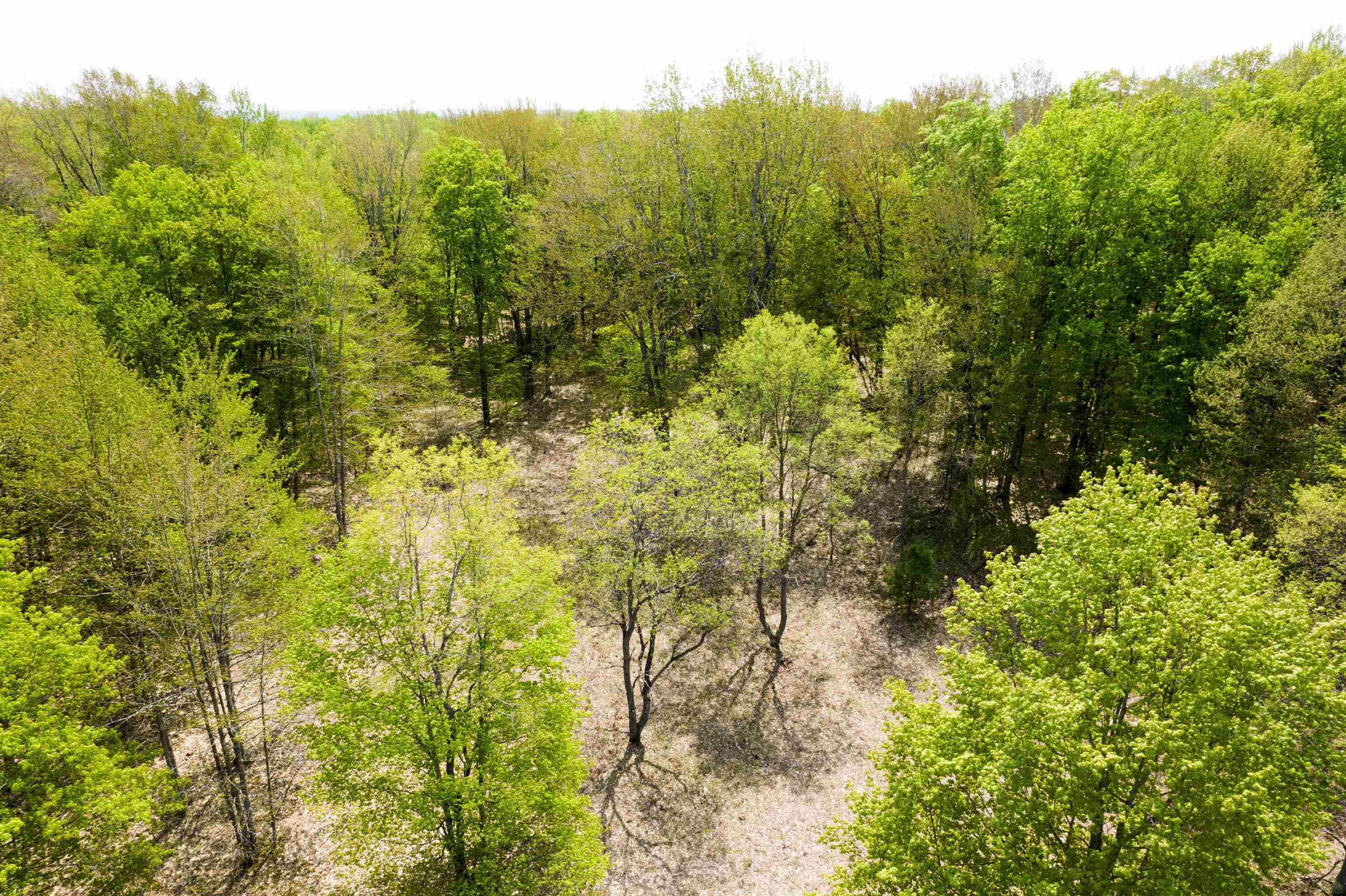 9454 Southwest Raspberry Ridge Fife Lake, MI 49633 - Photo 6 of 33