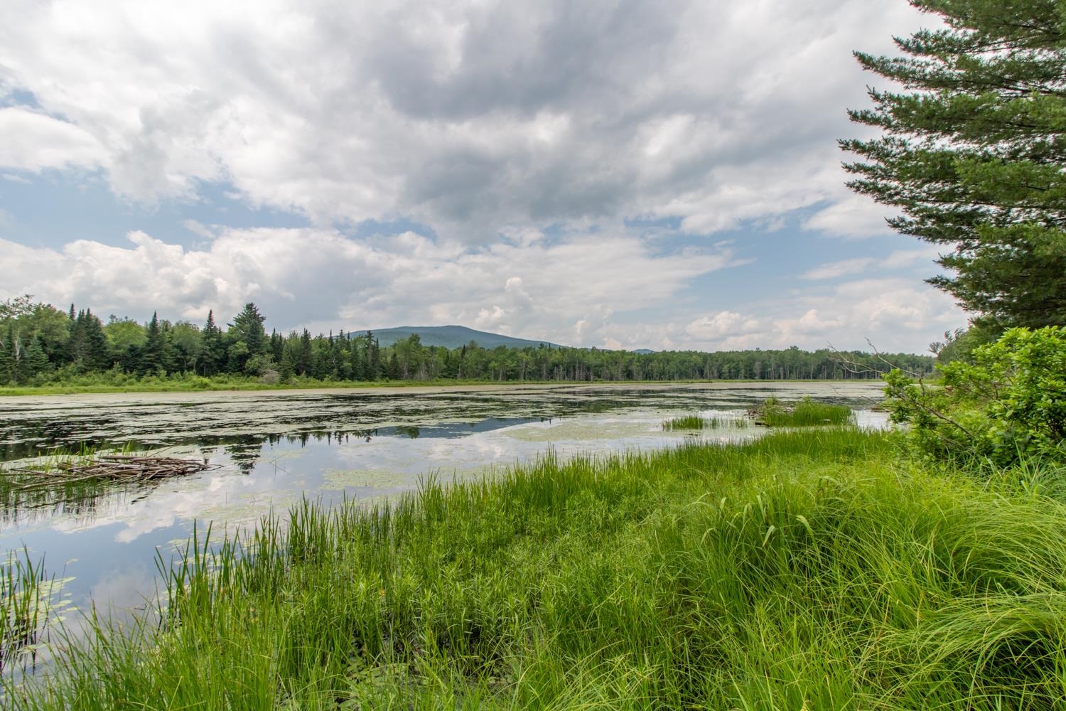 1005 Mayhew Road Jay, VT 05859 - Photo 28 of 39 Gallery Image 28