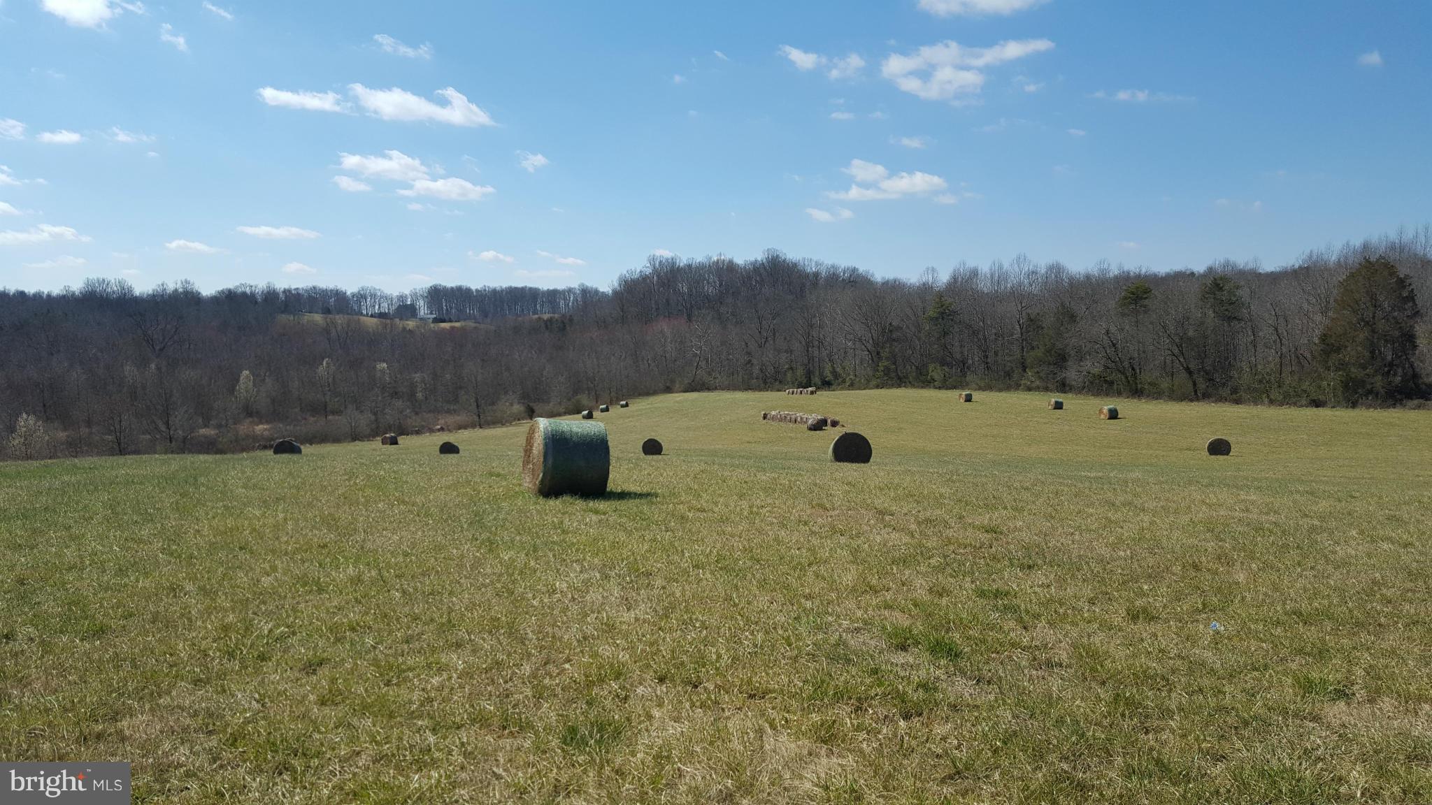 Prosit Lane Rixeyville, VA 22737 - Photo 1 of 3 View