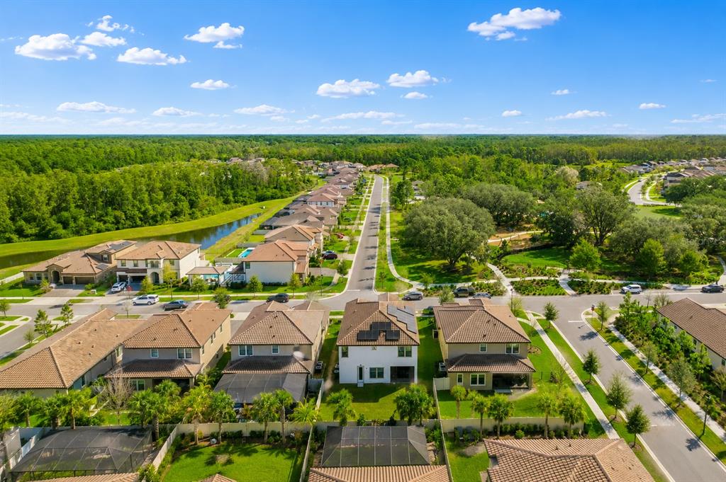 4300 Burdick Loop Odessa, FL 33556 - Photo 2 of 41 an aerial view of residential houses with outdoor space and street view
