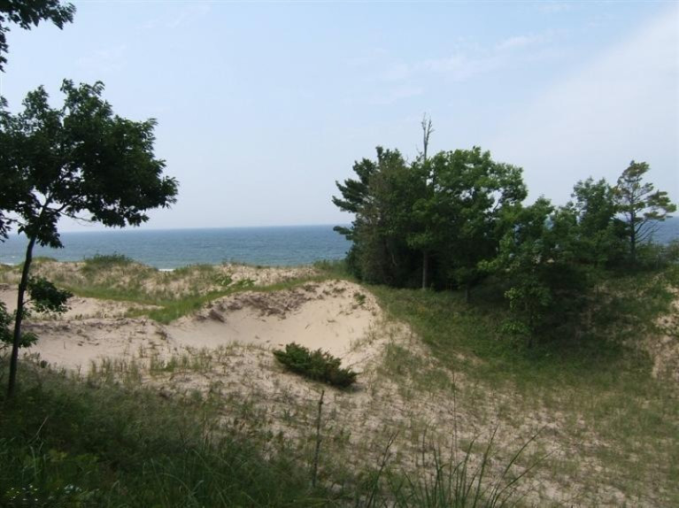 Timber Dunes Road Shelby, MI 49455 - Photo 1 of 22 Primary Photo