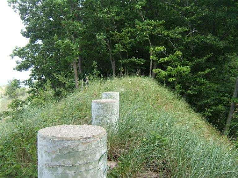 Timber Dunes Road Shelby, MI 49455 - Photo 11 of 22 Additional Photo