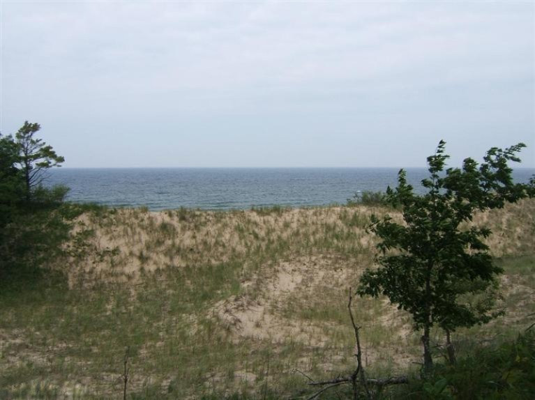 Timber Dunes Road Shelby, MI 49455 - Photo 12 of 22 Additional Photo