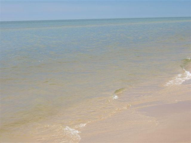 Timber Dunes Road Shelby, MI 49455 - Photo 20 of 22 Additional Photo