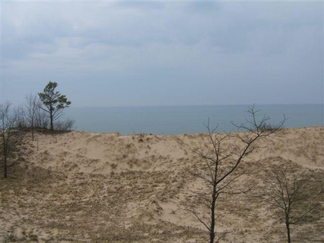 Timber Dunes Road Shelby, MI 49455 - Photo 2 of 22 Additional Photo