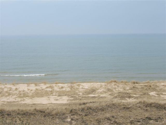 Timber Dunes Road Shelby, MI 49455 - Photo 3 of 22 Additional Photo