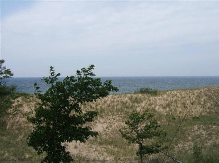 Timber Dunes Road Shelby, MI 49455 - Photo 9 of 22 Additional Photo