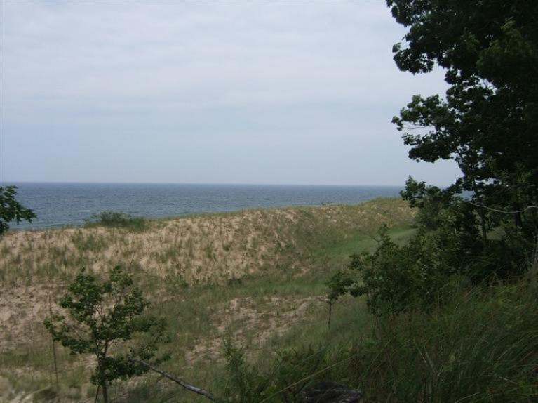 Timber Dunes Road Shelby, MI 49455 - Photo 10 of 22 Additional Photo
