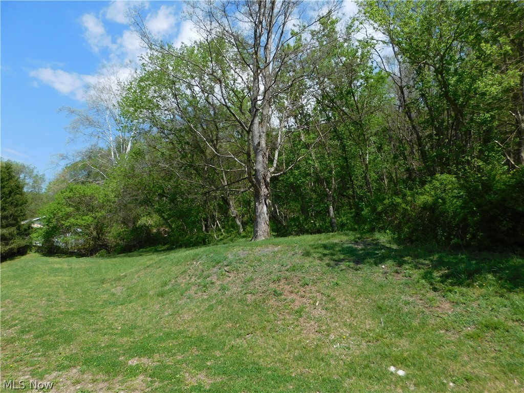 68250 Wrixon Road Bridgeport, OH 43912 - Photo 24 of 27