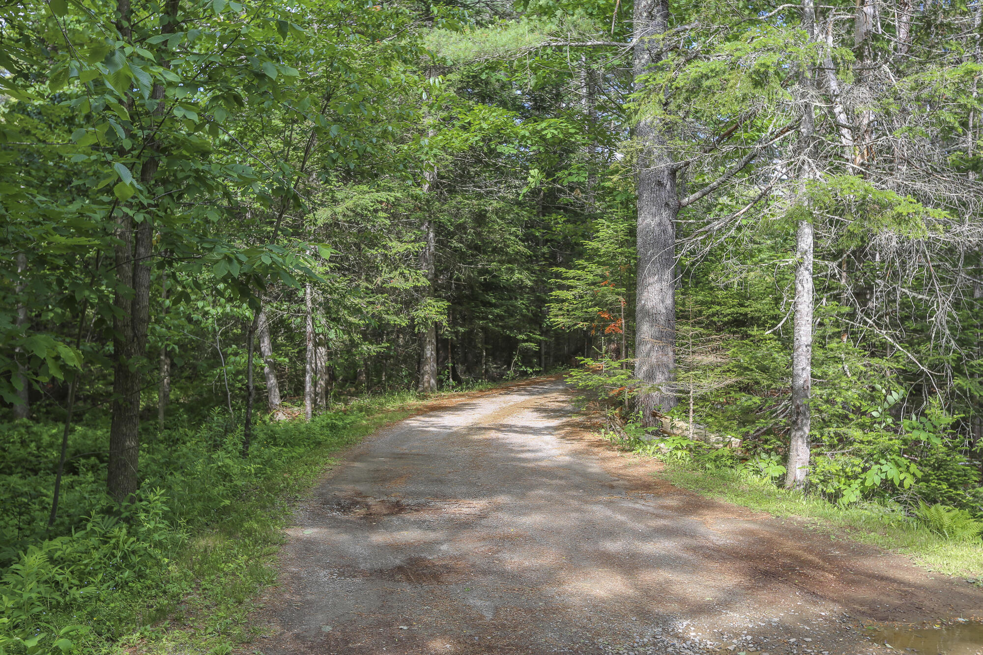 502 Curtis Road Swanville, ME 04915 - Photo 36 of 70 SearsportMaine-59