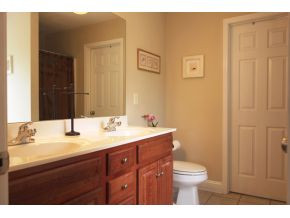 148 Rockingham Meadows Drive Johnson City, TN 37615 - Photo 12 of 21 Masters Bath Room