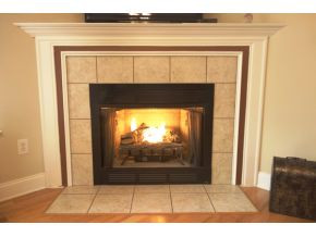 148 Rockingham Meadows Drive Johnson City, TN 37615 - Photo 5 of 21 Gas Logs