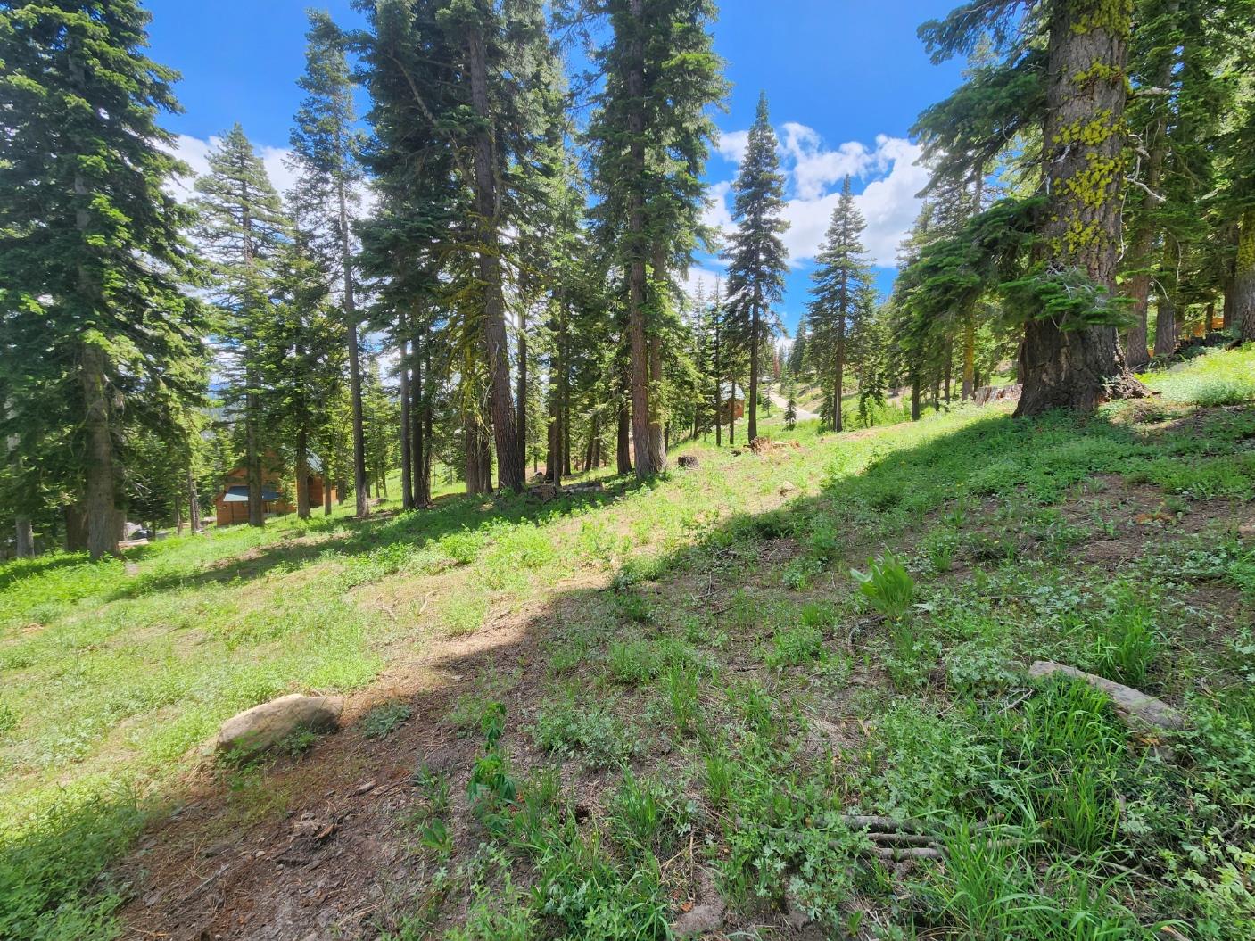 350 Snowshoe Road Bear Valley, CA 95223 - Photo 5 of 5