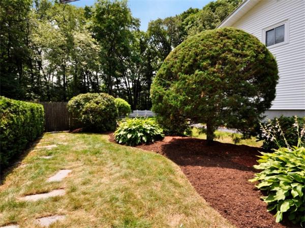 76 Blake Street Needham, MA 02492 - Photo 8 of 16 Gallery Image 8