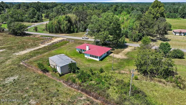 $250,000 | 439 New Hope Road, Mount Olive, MS 39119