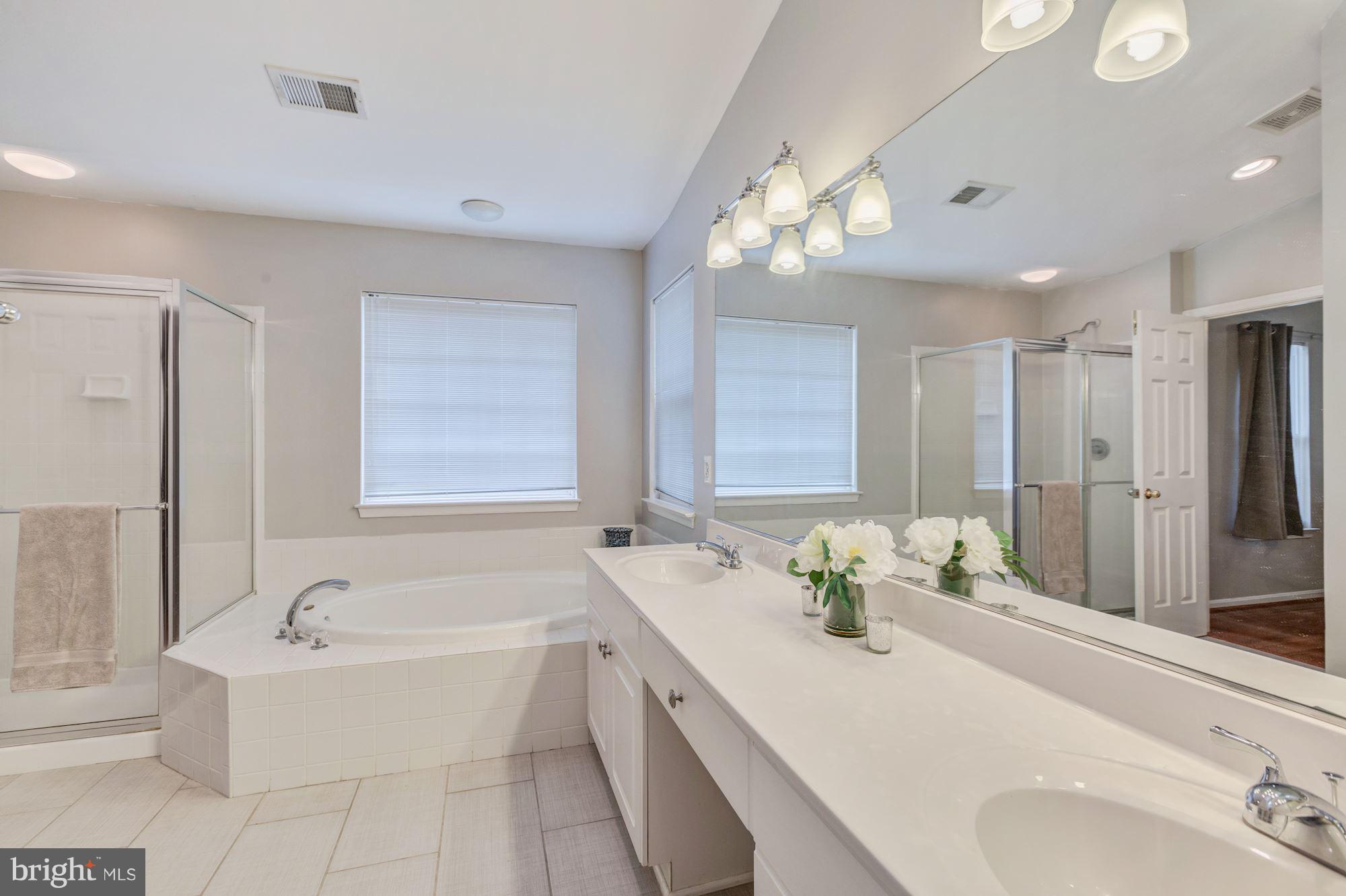 8769 Partridge Run Way Bristow, VA 20136 - Photo 17 of 29 Soaking tub and separate shower