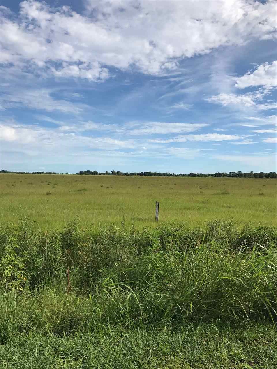 3.64-acres West 3.64-acres W Fig Ridge Road Winnie, TX 77665 - Photo 1 of 1