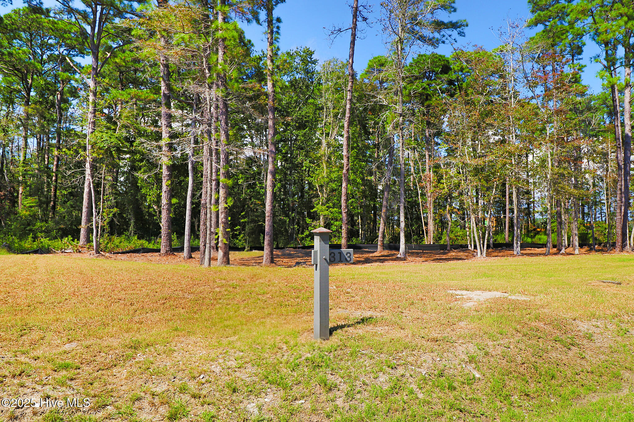 479 Freedom Park Road Beaufort, NC 28516 - Photo 3 of 21 479 Freedom Park Rd