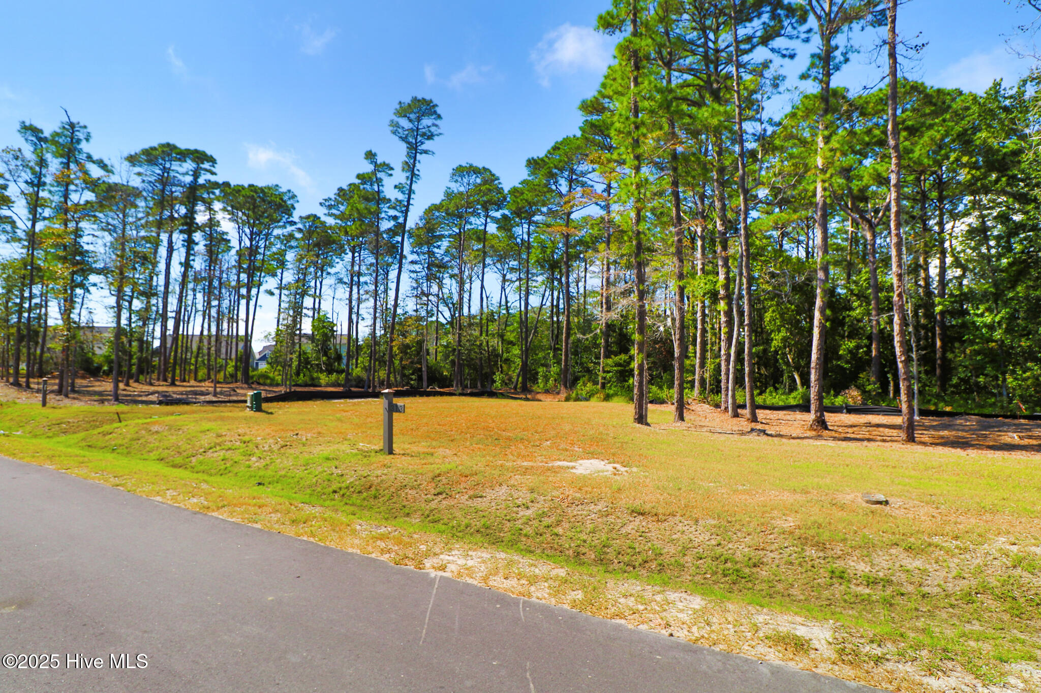 479 Freedom Park Road Beaufort, NC 28516 - Photo 5 of 21 479 Freedom Park Rd