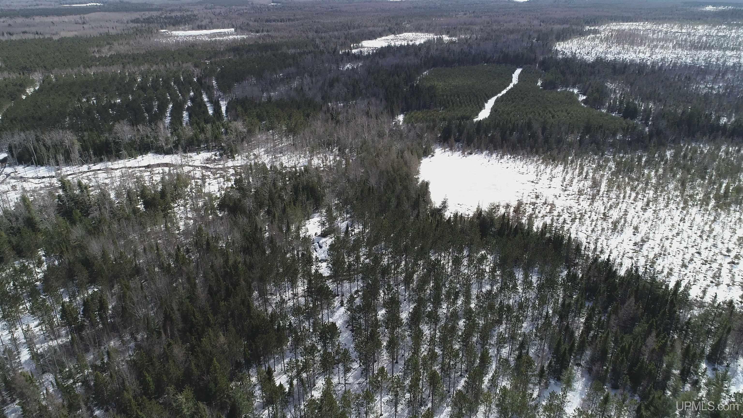 20-acres Off Flodin Road Manistique, MI 49854 - Photo 18 of 29
