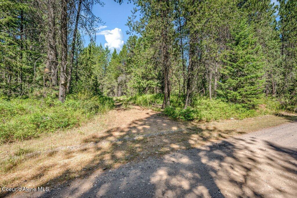 2013 Homestead Road Athol, ID 83801 - Photo 2 of 20 --2.jpg-SMALL
