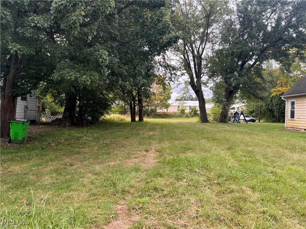 View of grassy yard