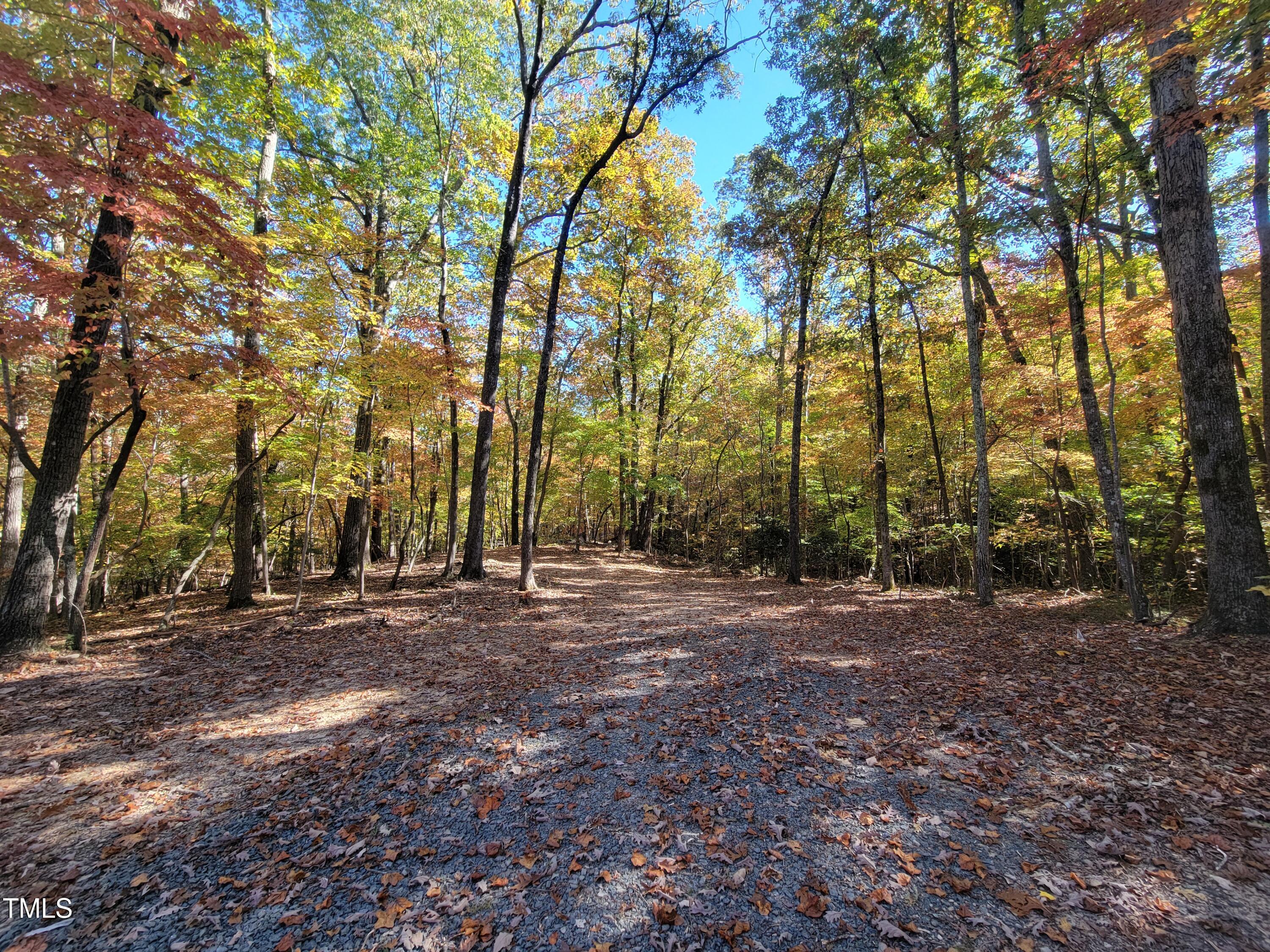 669 Crabtree Glenn Road Rougemont, NC 27572 - Photo 1 of 8 20241029_142230