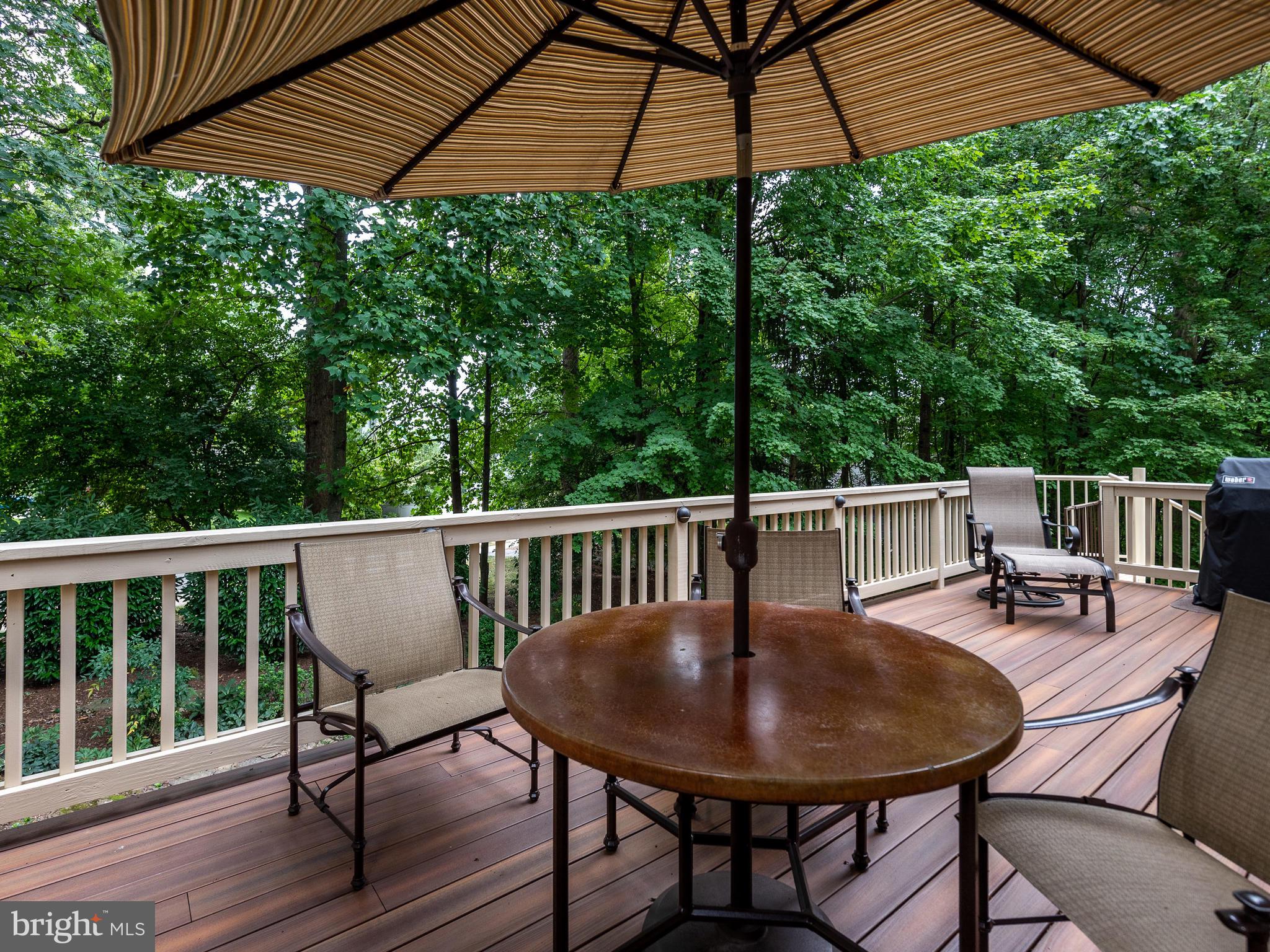 1422 Belcastle Court Reston, VA 20194 - Photo 74 of 85 Trex flooring on deck