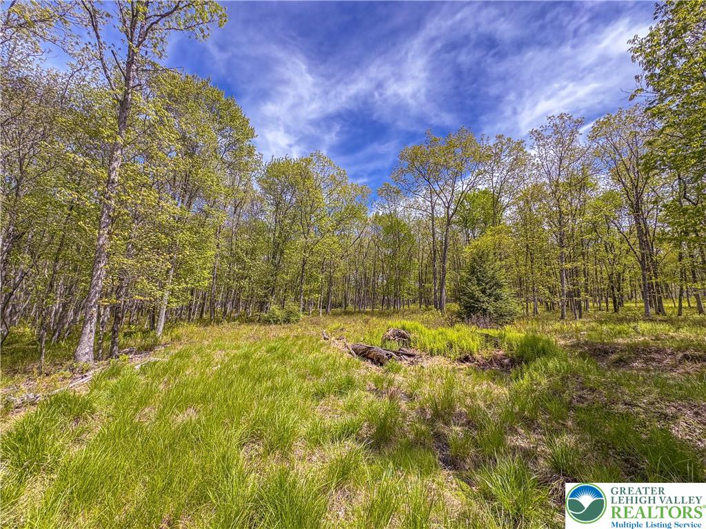 Cross Run Road Jim Thorpe, PA 18229 - Photo 2 of 7 a view of a yard with trees
