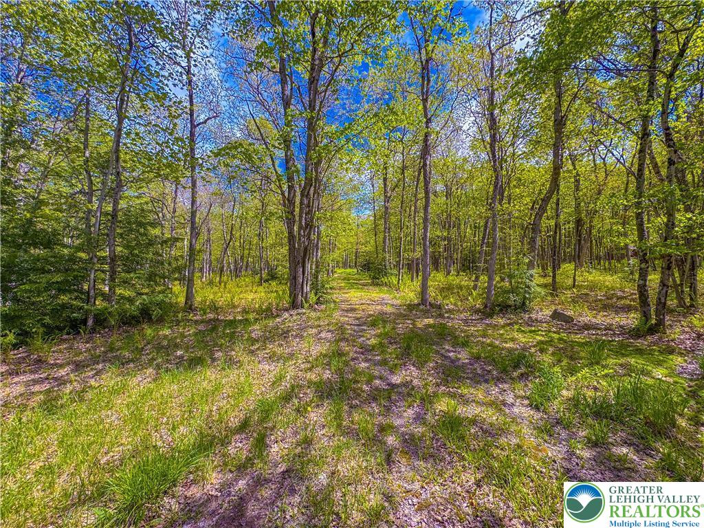 Cross Run Road Jim Thorpe, PA 18229 - Photo 3 of 7 a view of outdoor space with trees