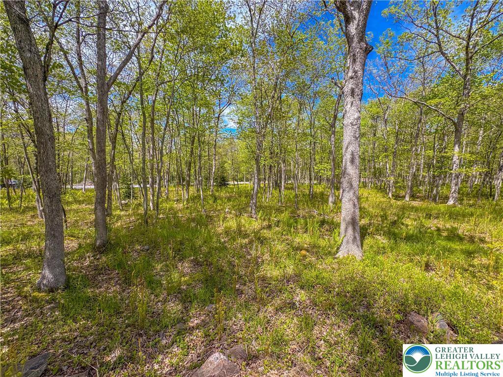 Cross Run Road Jim Thorpe, PA 18229 - Photo 4 of 7