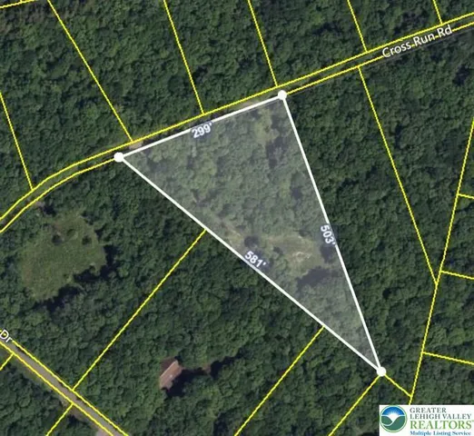 a view of tree next to a yard