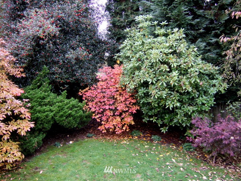 8523 214th Place Southwest Edmonds, WA 98026 - Photo 18 of 25 Gallery Image 18