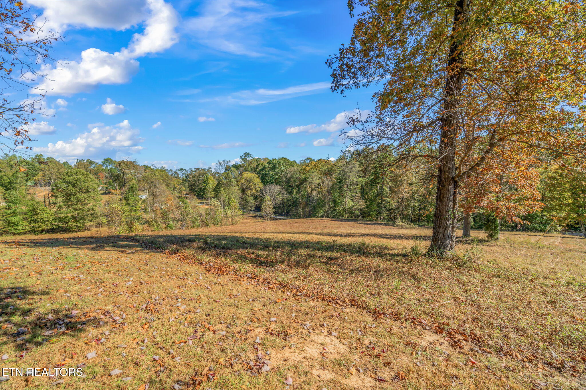 1347 Cawood Road Spring City, TN 37381 - Photo 12 of 48 23-web-or-mls-1347 Cawood Road-24
