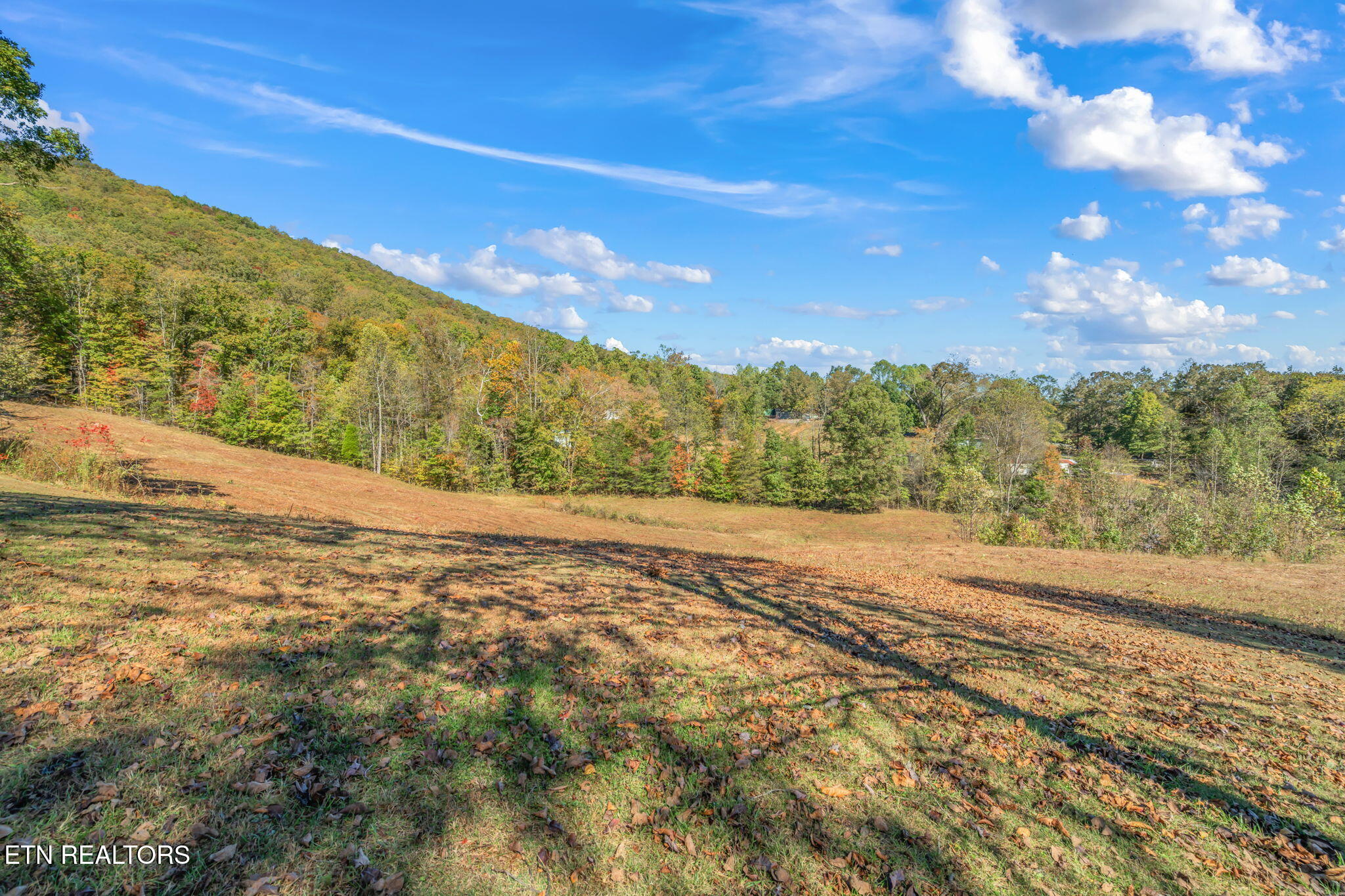 1347 Cawood Road Spring City, TN 37381 - Photo 13 of 48 22-web-or-mls-1347 Cawood Road-23