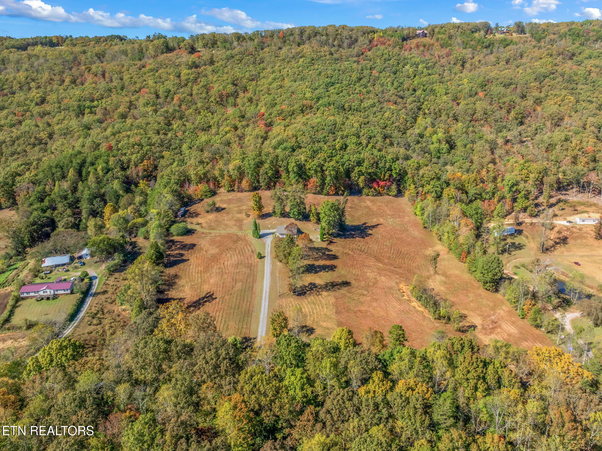 1347 Cawood Road Spring City, TN 37381 - Photo 16 of 48 27-web-or-mls-1347 Cawood Road-28