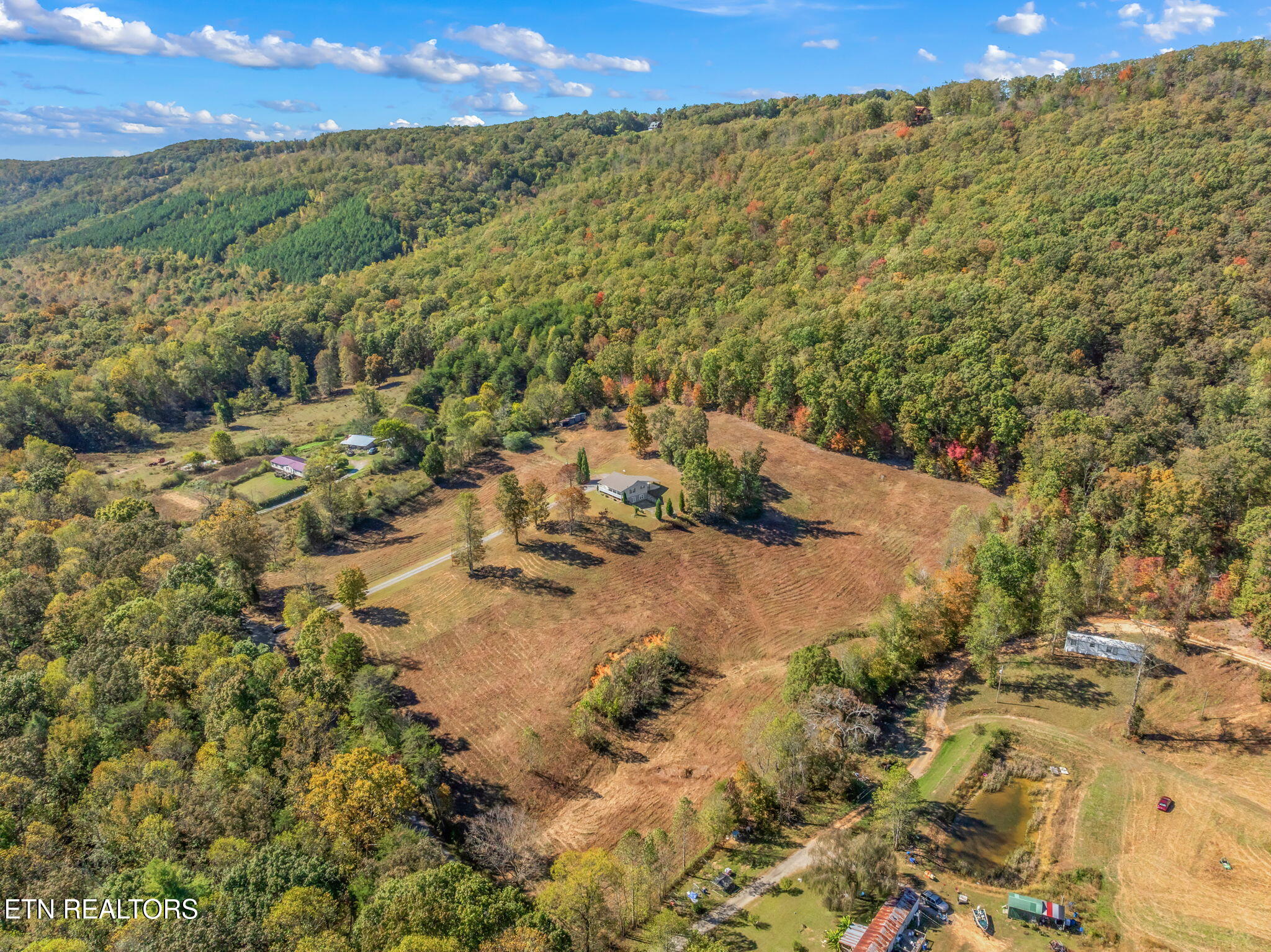 1347 Cawood Road Spring City, TN 37381 - Photo 17 of 48 28-web-or-mls-1347 Cawood Road-29