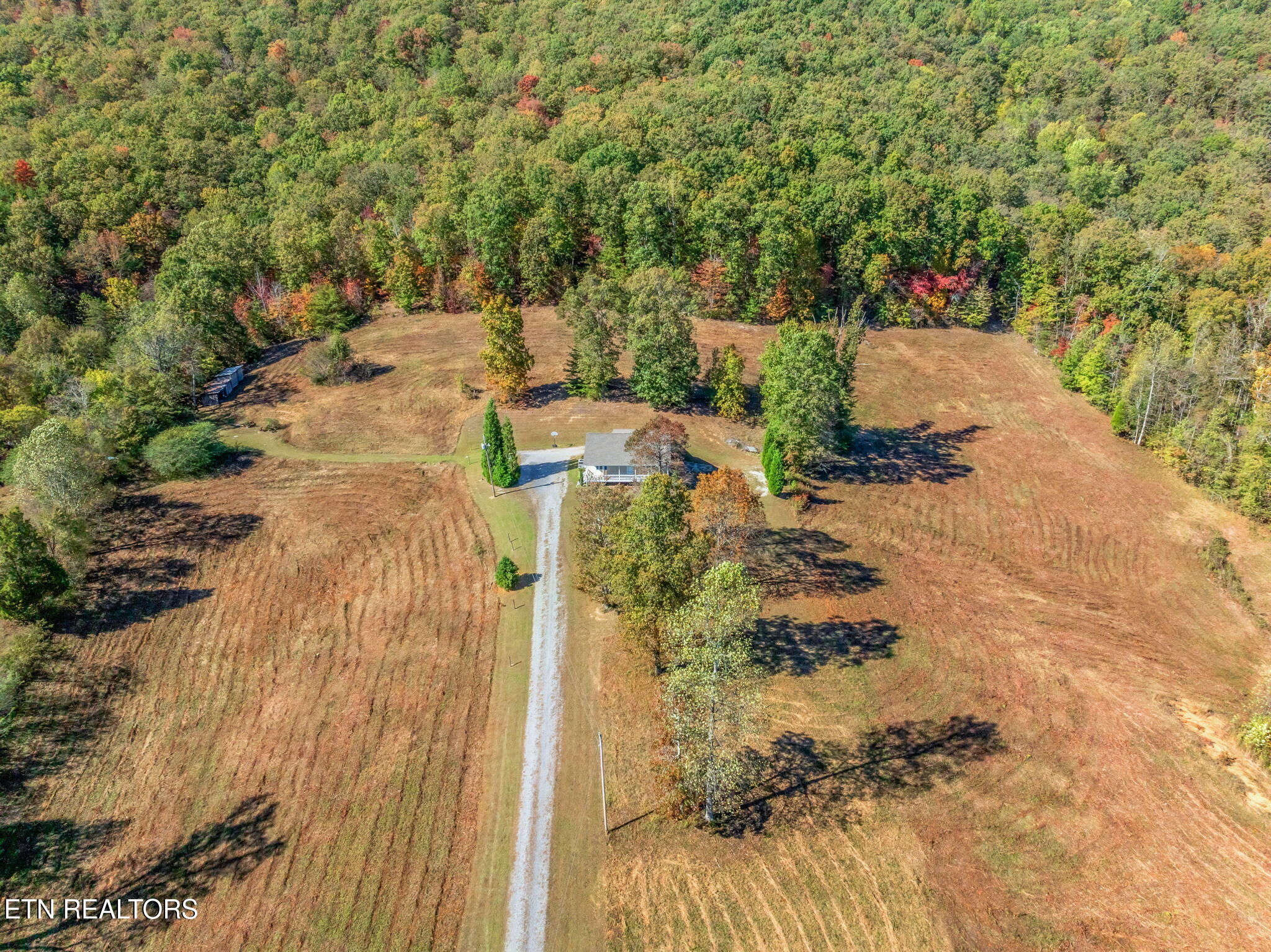 1347 Cawood Road Spring City, TN 37381 - Photo 23 of 48 46-web-or-mls-1347 Cawood Road-46