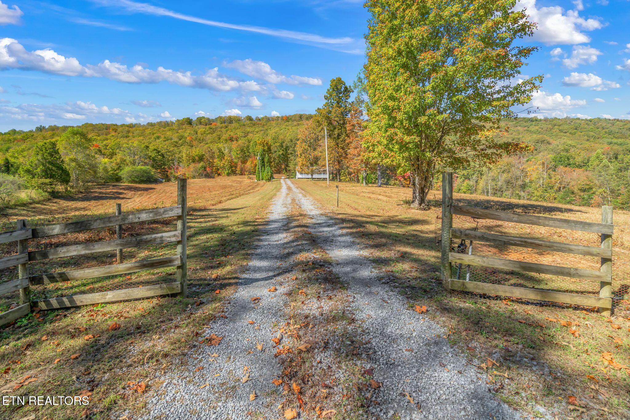 1347 Cawood Road Spring City, TN 37381 - Photo 24 of 48 26-web-or-mls-1347 Cawood Road-27