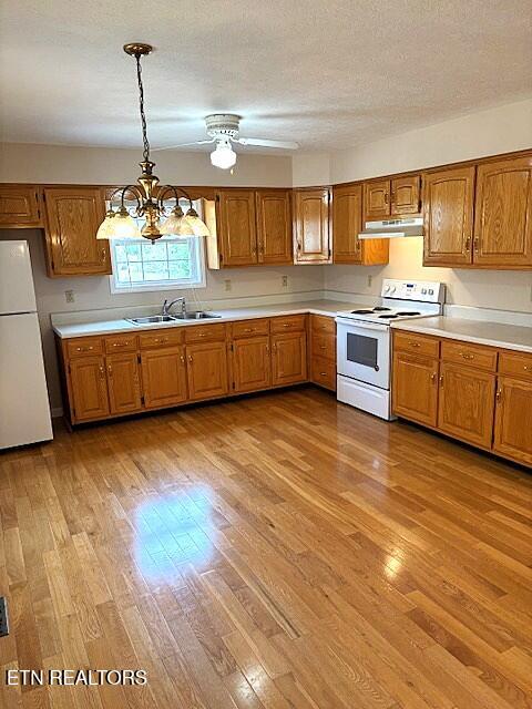 1347 Cawood Road Spring City, TN 37381 - Photo 31 of 48 Kitchen view from Laundry