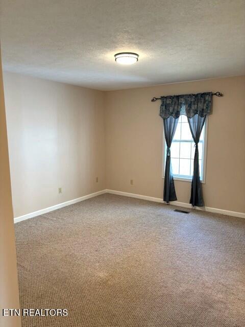 1347 Cawood Road Spring City, TN 37381 - Photo 36 of 48 Master Bedroom 1