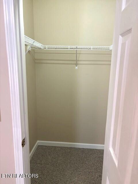 1347 Cawood Road Spring City, TN 37381 - Photo 38 of 48 Master Walk-in Closet