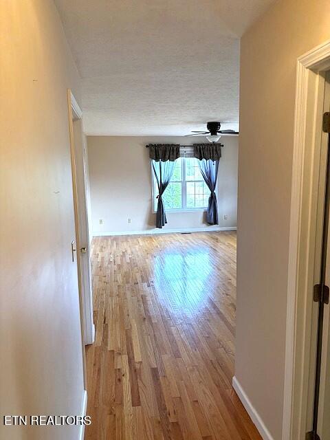 1347 Cawood Road Spring City, TN 37381 - Photo 41 of 48 Hallway to Living Room (2)