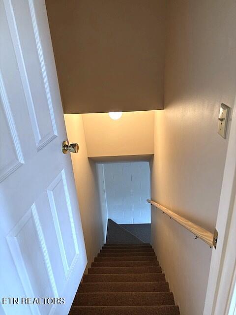 1347 Cawood Road Spring City, TN 37381 - Photo 42 of 48 Stairway to Basement