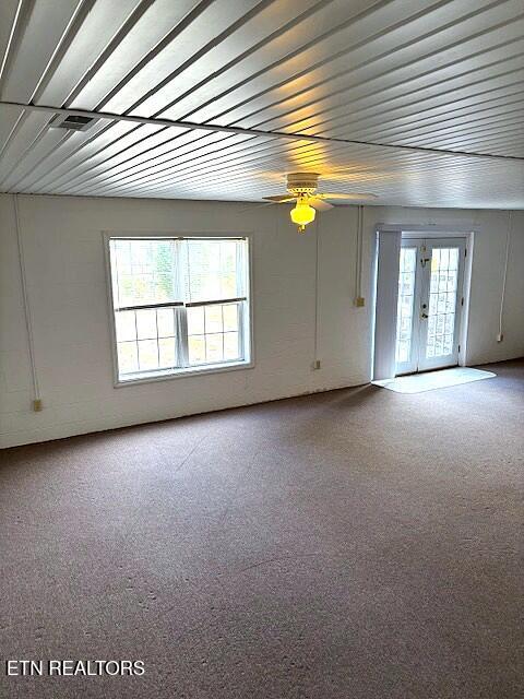 1347 Cawood Road Spring City, TN 37381 - Photo 43 of 48 Walk-out Basement 1