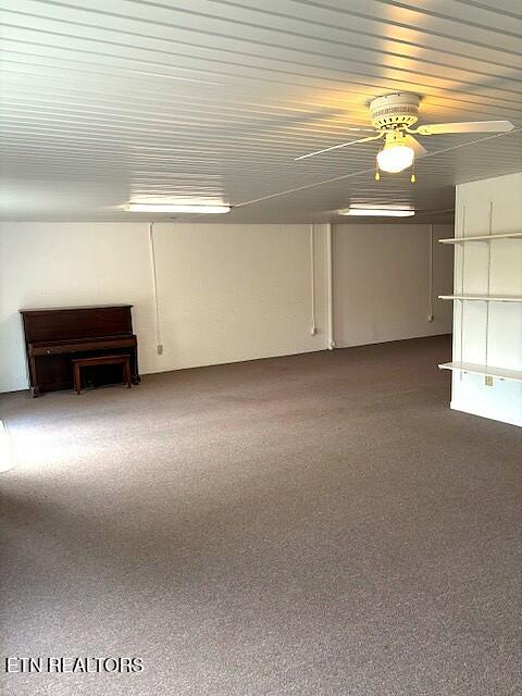 1347 Cawood Road Spring City, TN 37381 - Photo 44 of 48 Basement view 2