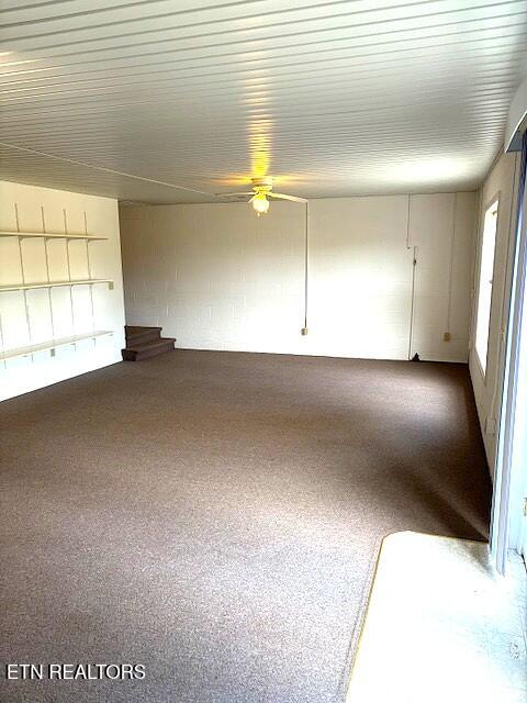 1347 Cawood Road Spring City, TN 37381 - Photo 45 of 48 Basement view 3