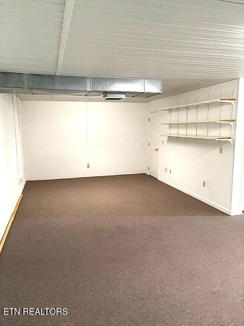 1347 Cawood Road Spring City, TN 37381 - Photo 48 of 48 Basement view 5