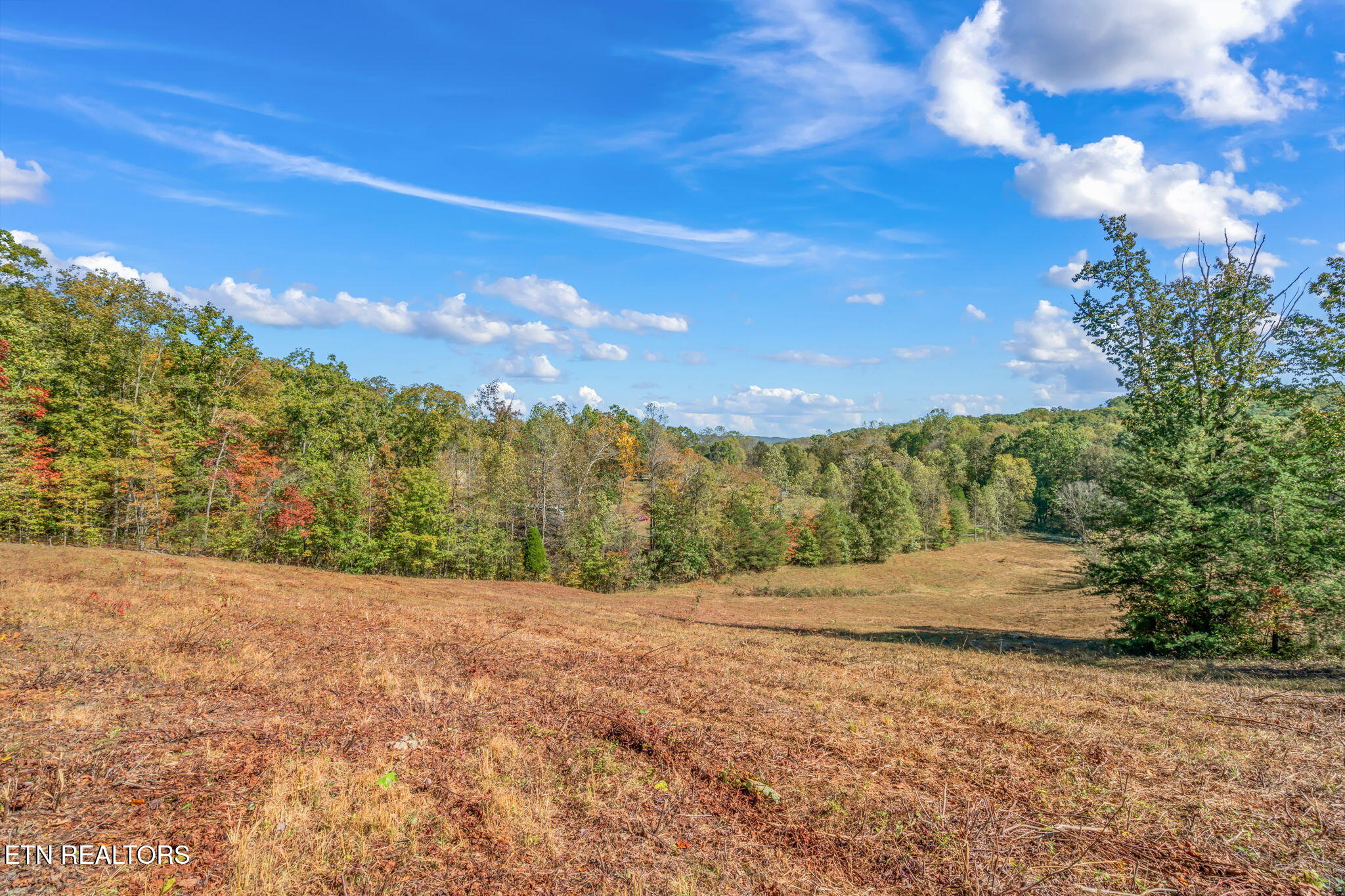 1347 Cawood Road Spring City, TN 37381 - Photo 7 of 48 13-web-or-mls-1347 Cawood Road-14