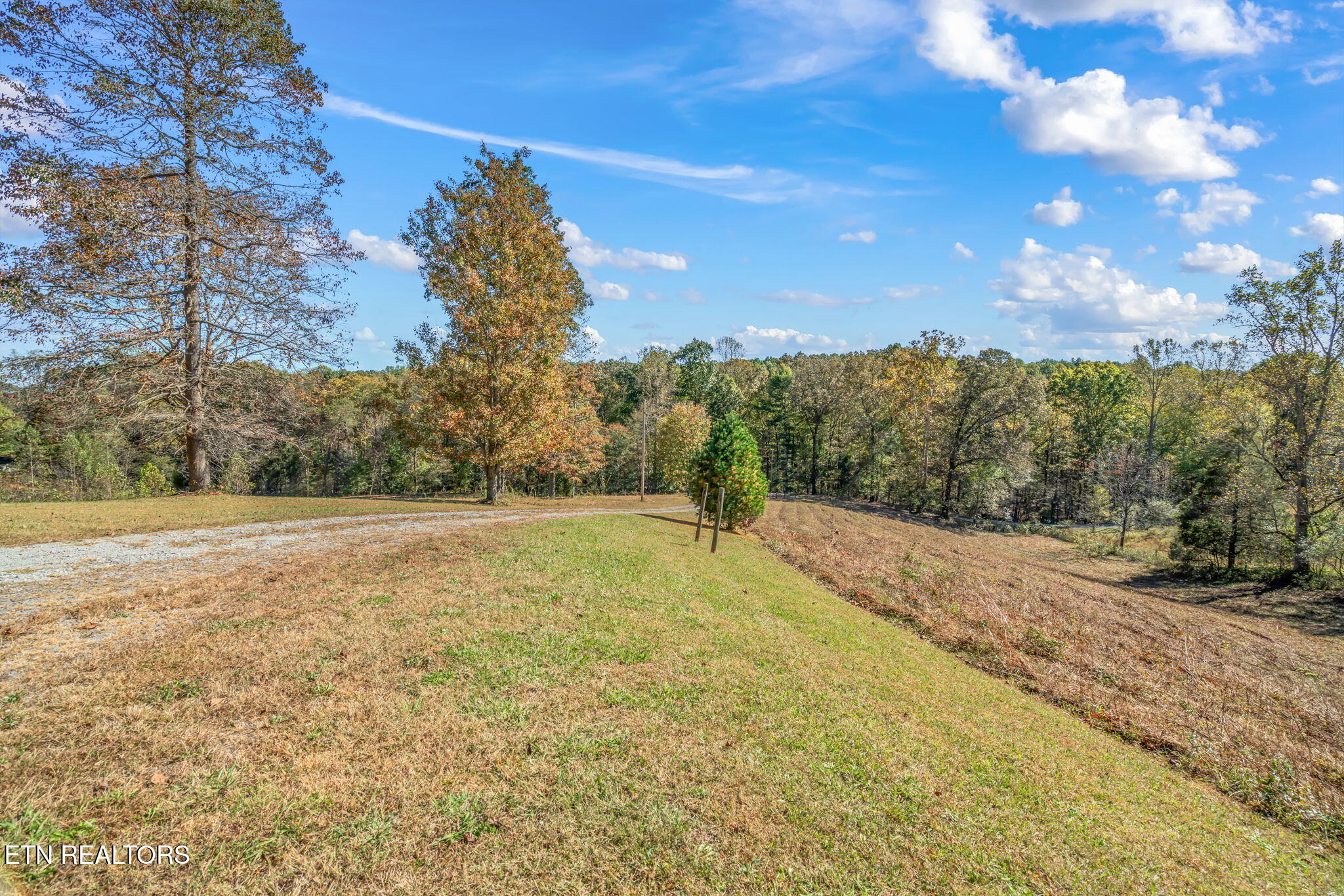 1347 Cawood Road Spring City, TN 37381 - Photo 10 of 48 19-web-or-mls-1347 Cawood Road-20